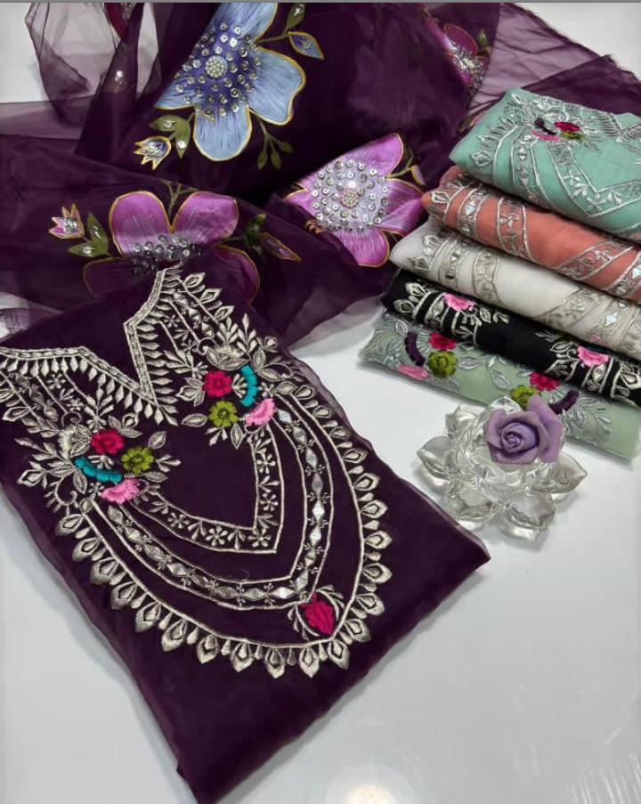 Pure Organza Mirror Work