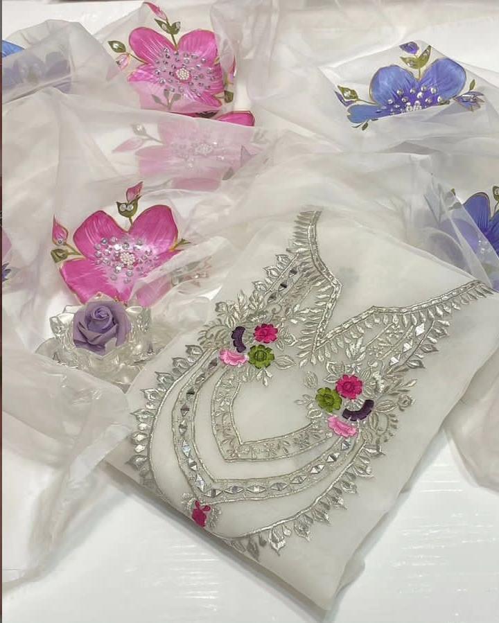 Pure Organza Mirror Work