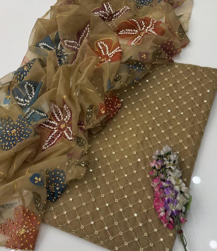 Handworked Organza Suit